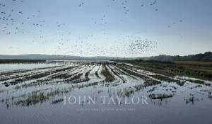 Vendita Casa Carvalhal