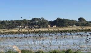 Vendita Casa Carvalhal