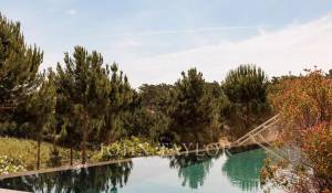 Vendita Casa Carvalhal