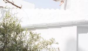 Vendita Casa Ciutadella de Menorca