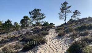 Vendita Casa Comporta