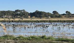 Vendita Casa Comporta