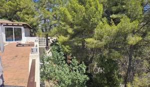 Vendita Casa Es Capdella