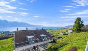 Vendita Casa semi-indipendente Blonay-Saint-Légier