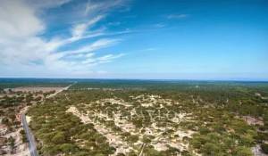 Vendita Casa Grândola e Santa Margarida da Serra