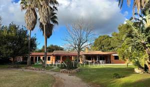 Vendita Casa Mahón