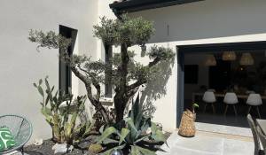 Vendita Casa Maillane