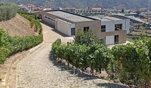 Vendita Casa Mesão Frio (Santo André)