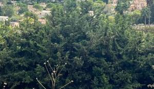 Vendita Casa Mougins