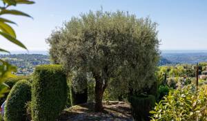 Vendita Casa Tourrettes-sur-Loup
