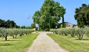 Vendita Cascina L'Isle-sur-la-Sorgue