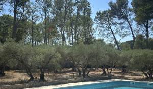 Vendita Cascina Saint-Rémy-de-Provence