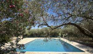 Vendita Cascina Saint-Rémy-de-Provence