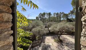 Vendita Cascina Saint-Rémy-de-Provence