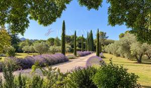 Vendita Cascina Saint-Rémy-de-Provence