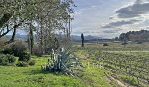 Vendita Cascina Villedieu