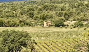 Vendita Castello Gordes