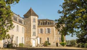 Vendita Castello Langon