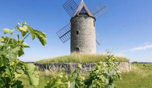 Vendita Castello Saint-Émilion