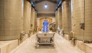 Vendita Castello Saint-Émilion