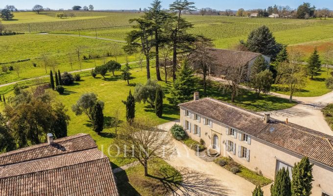 Vendita Castello Saint-Émilion