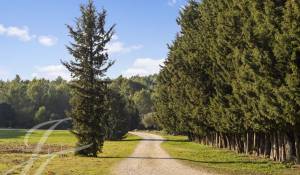Vendita Centro equestre Barbentane