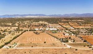 Vendita Centro equestre Llucmajor