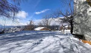 Vendita Chalet Crans-Montana