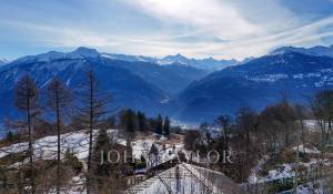 Vendita Chalet Crans-Montana