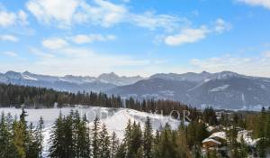 Vendita Chalet Crans-Montana