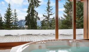 Vendita Chalet Crans-Montana