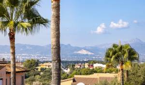 Vendita Chalet Marratxi