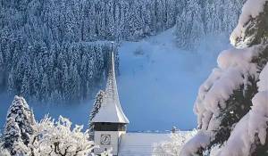 Vendita Chalet Rougemont