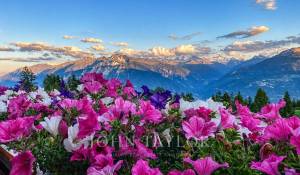 Vendita Duplex Crans-Montana