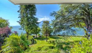 Vendita Duplex La Tour-de-Peilz