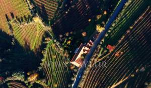 Vendita Fattoria Cambres