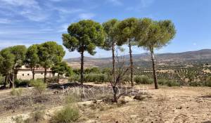 Vendita Pensione Marrakech