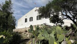 Vendita Proprietà Alaior