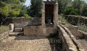 Vendita Proprietà Alaior