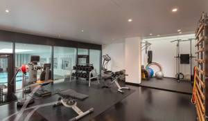 Vendita Proprietà Anières