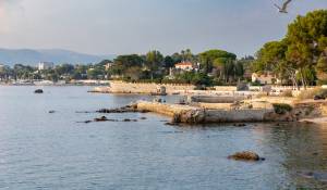 Vendita Proprietà Antibes