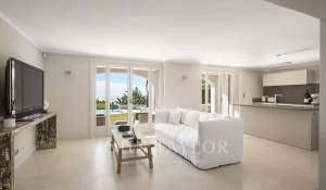 Vendita Proprietà Cannes