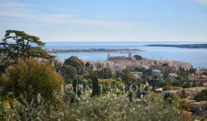 Vendita Proprietà Cannes