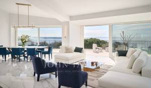 Vendita Proprietà Cannes