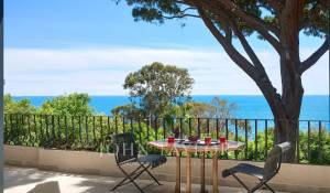 Vendita Proprietà Cannes