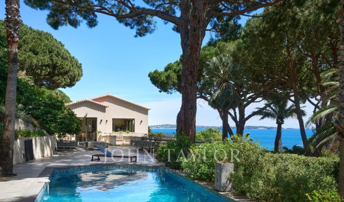 Vendita Proprietà Cannes