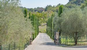 Vendita Proprietà Châteauneuf-Grasse