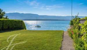 Vendita Proprietà Collonge-Bellerive