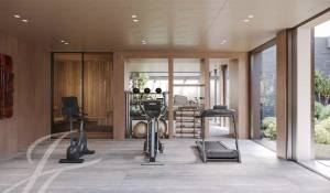 Vendita Proprietà Collonge-Bellerive