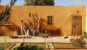 Vendita Proprietà Essaouira